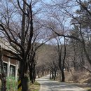 원이중학교이원분교장 이미지