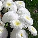 행복한아침 이미지