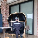 황금밥집 이미지