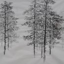 한국화(초급) 이미지