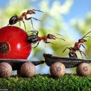 내일비안와요 이미지