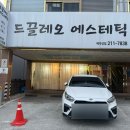 울산 삼산동 피부관리 드끌레오 에스테틱 윤곽 데콜테 승모근 후기