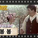 [TV문학관] 83화 봄봄 (1983/05/07) 이미지