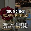 [대치역미용실] 에코쟈뎅 대치테라스점 정민 디자이너 전체 염색 후기 (feat. 기분 전환 붉은빛 새치염색)
