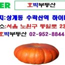 미성동-43 이미지