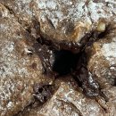 브레드230 | 광주빵집 파파드림브레드 초코으악깜빠뉴 내돈내산 솔직후기