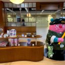 세종안전ENC 내손안에서울