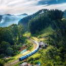 가교축산 | 2025 농촌투어패스 총정리｜대중교통 50% 할인·가맹점 혜택까지 한눈에!