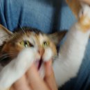 NR-7[대학로]-하-4 | 셜록홈즈 대학로점 혼하고 혼이나간 혼테마 3인 후기