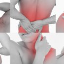 사직마디의원 이미지