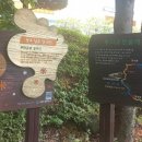 뿌리공원 둘레길 이미지