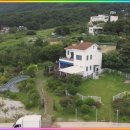 강아지 보호센터 이미지