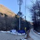 스테이 732 이미지