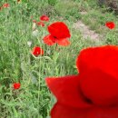 기우농장 이미지