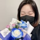 마이미플레르 이미지