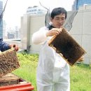 대전시청 이미지