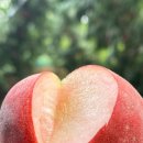신선하네요
