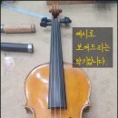 안스트링 네이버블로그