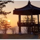 황제행정사사무소 네이버블로그