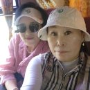 캄보디아 압사라 민속쑈 바라이호수 왓트마이사원 이미지