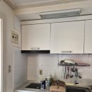 나 대관령왔어 이미지