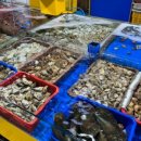 신세계 리조트 이미지