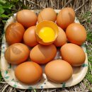 지리산감자탕 이미지