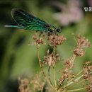 강서탑공인중개사사무소 이미지