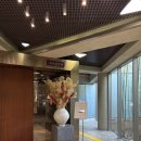 히든호텔 | 제주 서귀포 숙소 추천 “히든클리프 호텔&amp;네이쳐” 내돈내산 숙박 후기