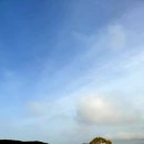 의구농장 이미지