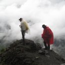 티나하우스 이미지