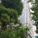 서소문로 이미지