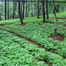 백석폭포민박 이미지