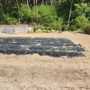 회동농장 이미지