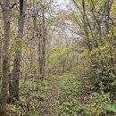 설악산자연학교 | 명개리마을-영골약수-구룡령옛길 정상-횟반돌쟁이-솔반쟁이-묘반쟁이-금강송-갈천산촌체험학교 여행기록