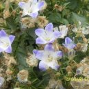 남지초등학교 이미지