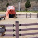 펫힐링달빛동물원