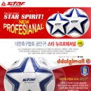 스타 프로페셔널/뉴프로페셔널5호 축구공 팝니다..착한가격~! 이미지