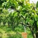 배우물농장 이미지