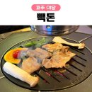 돈당 | 야당 고기집 찾는다면? 빽돈 야당점 직접 먹어본 후기