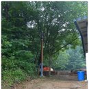 불정자연휴양림캠핑장 이미지