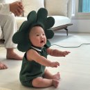 도노스튜디오 | 천안아기사진, 도노스튜디오 클로버 컨셉촬영 후기