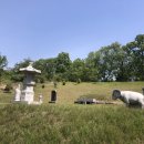 윤각장군 묘 이미지