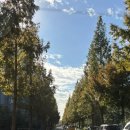 신두왕로 이미지