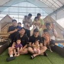 파파하우스 이미지