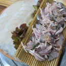 구산역어촌어시장 | 은평구 가성비 횟집 전어맛집 구산역어촌어시장 방문 후기