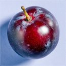 운동으로 지키는 관절 건강 이미지