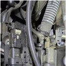 사랑카클리닉 이미지