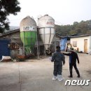 에버축산