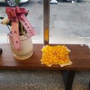 카페수양사 네이버블로그